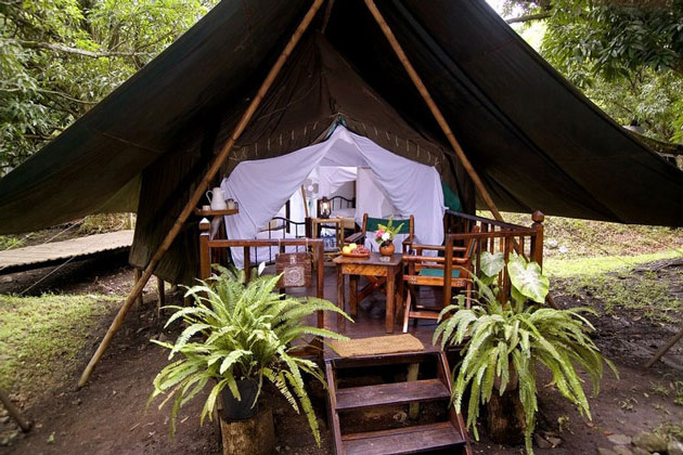 Glamping Safari