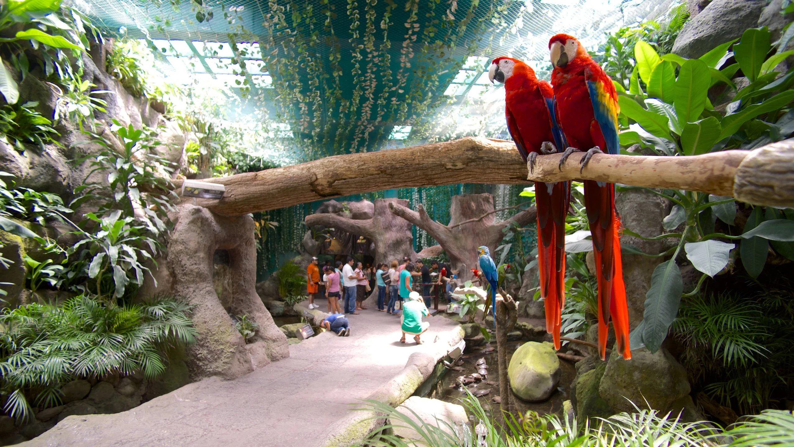 137908-Veracruz-Aquarium