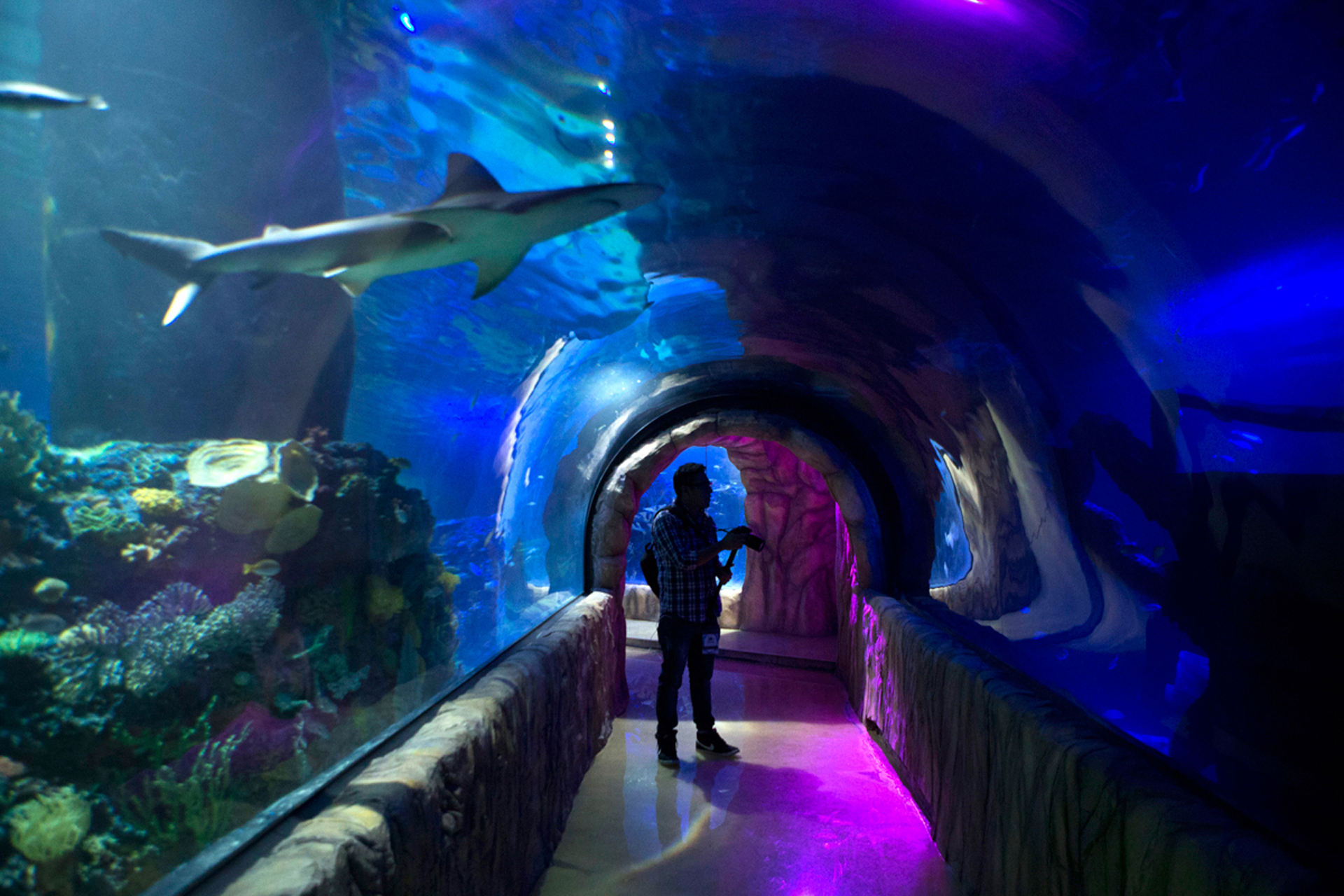 Mexico Aquarium