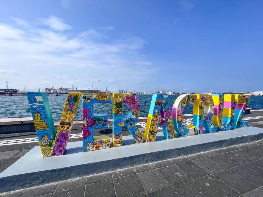 pies-viajeros-900x675