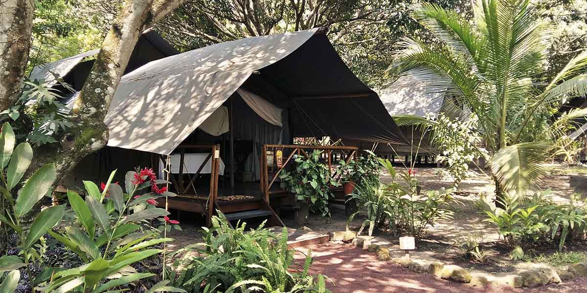 2-Camp-Estilo-Safari-Inglés-web