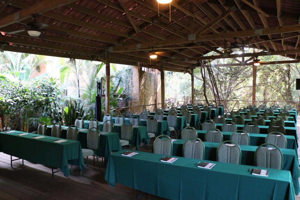 8-empresas-mexico-verde-1024x683