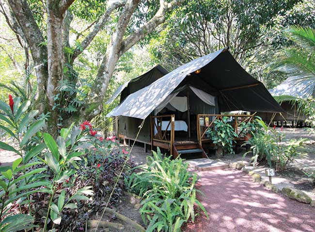 Safari-expediciones-mexico-verde-2-1