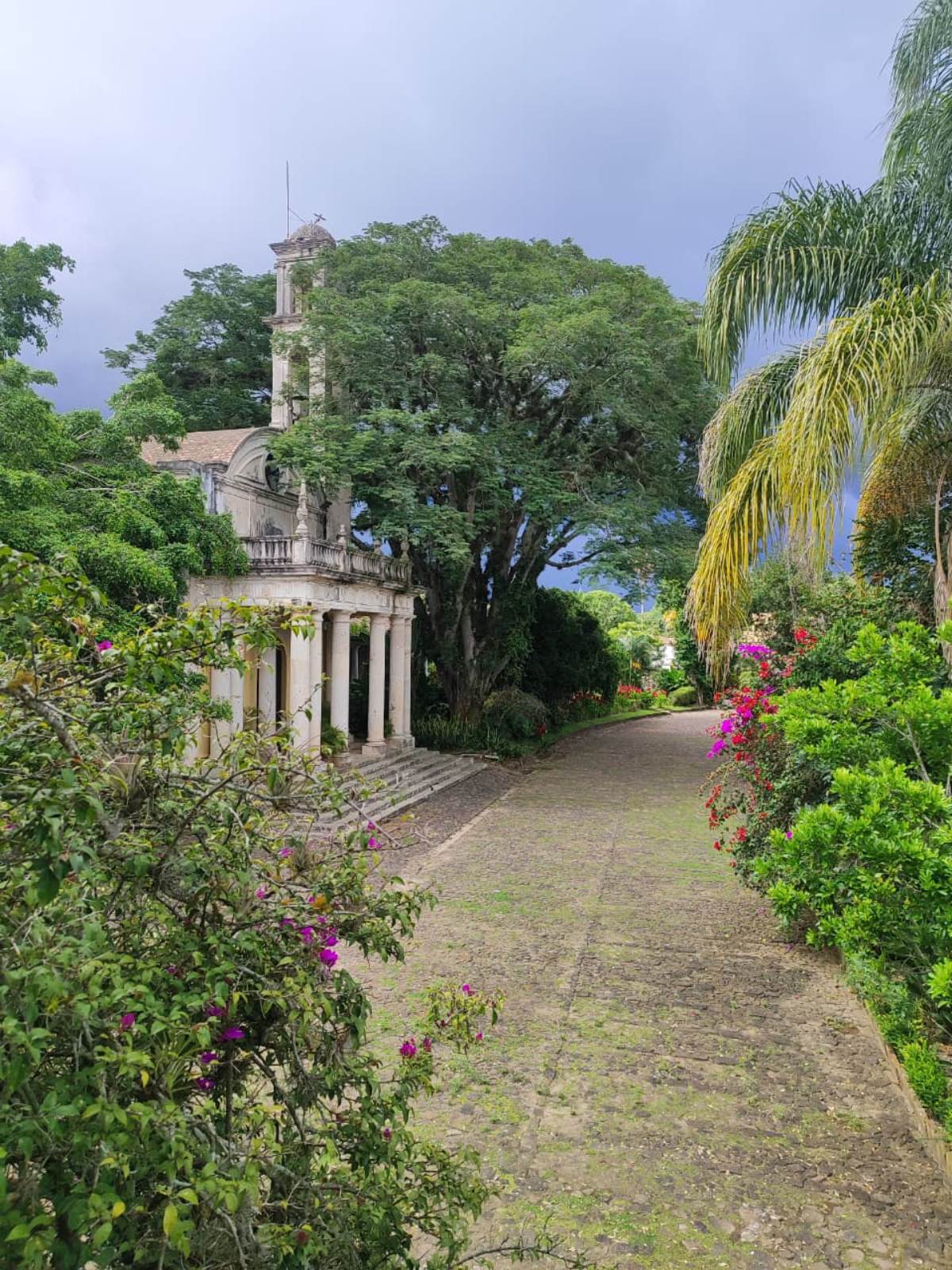 WhatsApp Image 2025-09-27 at 19.40.35