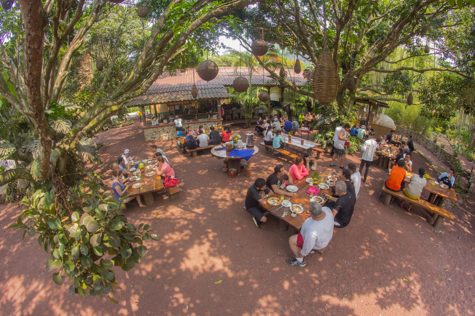 resort clasico emv 2025 comedores