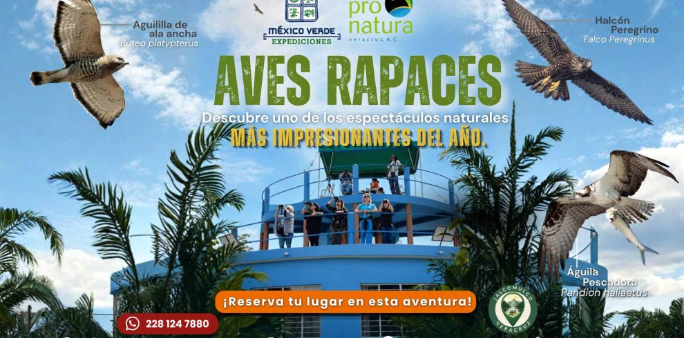 Aves-rapaces-pronatura-actualizacion-oct-2026_Banner