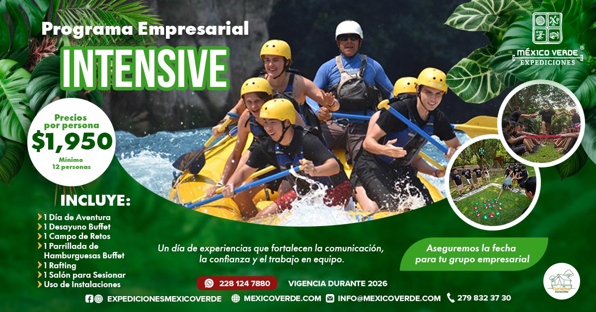 Programa Empresarial Intensive